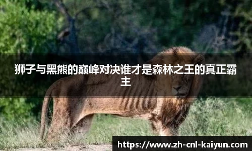 狮子与黑熊的巅峰对决谁才是森林之王的真正霸主